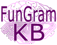 FunGramKB